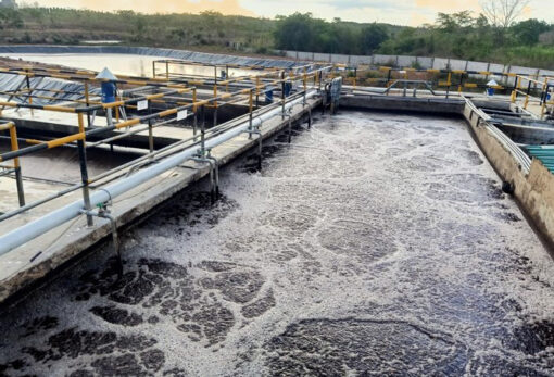 Hệ thống xử lý nước thải trang trại chăn nuôi 2.400 heo nái Công suất 200 m3/ngày đêm